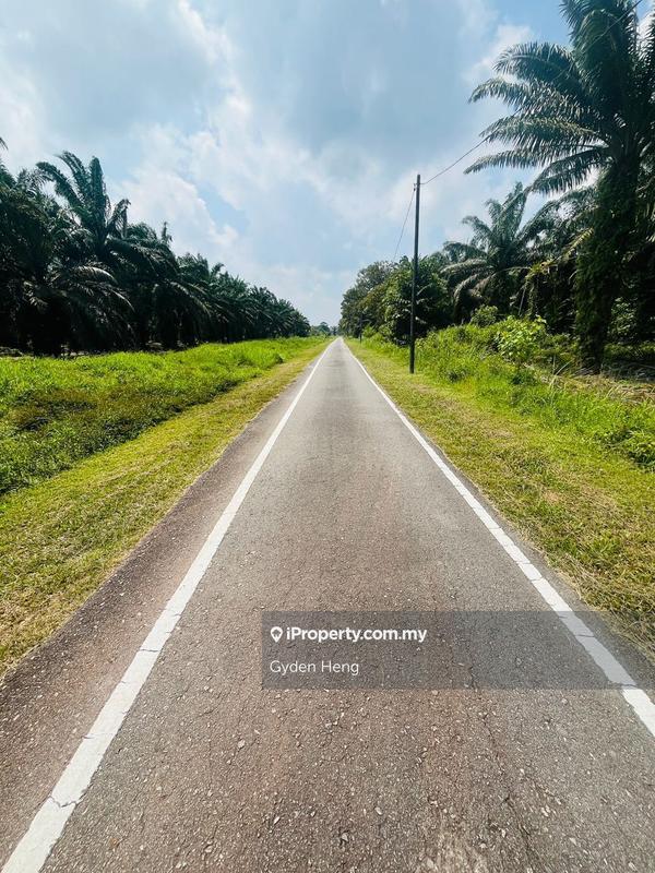 Agricultural Land for Sale in Parit Jawa Kayu Ara Pasong, Pontian by Gyden Heng - iProperty.com.my