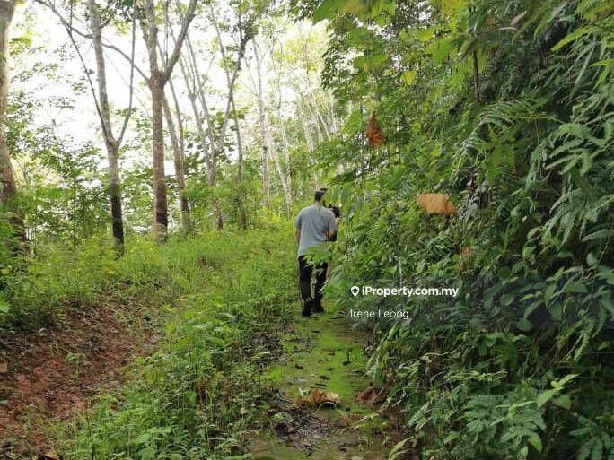Agricultural Land for Sale in Bandar Tras, Raub by Irene Leong - iProperty.com.my