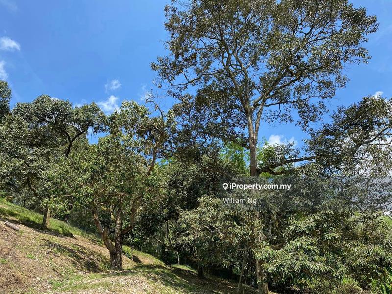 Agricultural Land for Sale in Taman Jelebu, Kuala Klawang by William Ng - iProperty.com.my