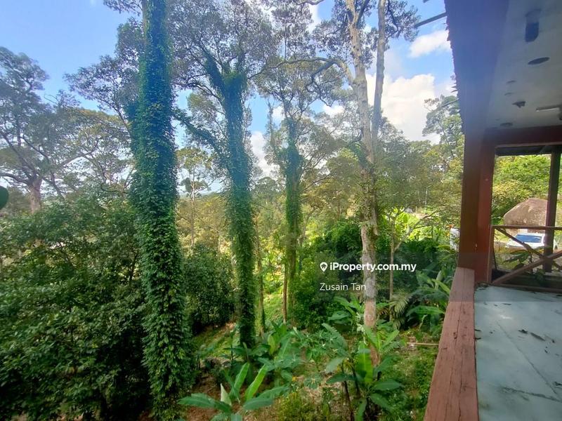Agricultural Land for Sale in Pulau Betong, Balik Pulau by Zusain Tan - iProperty.com.my
