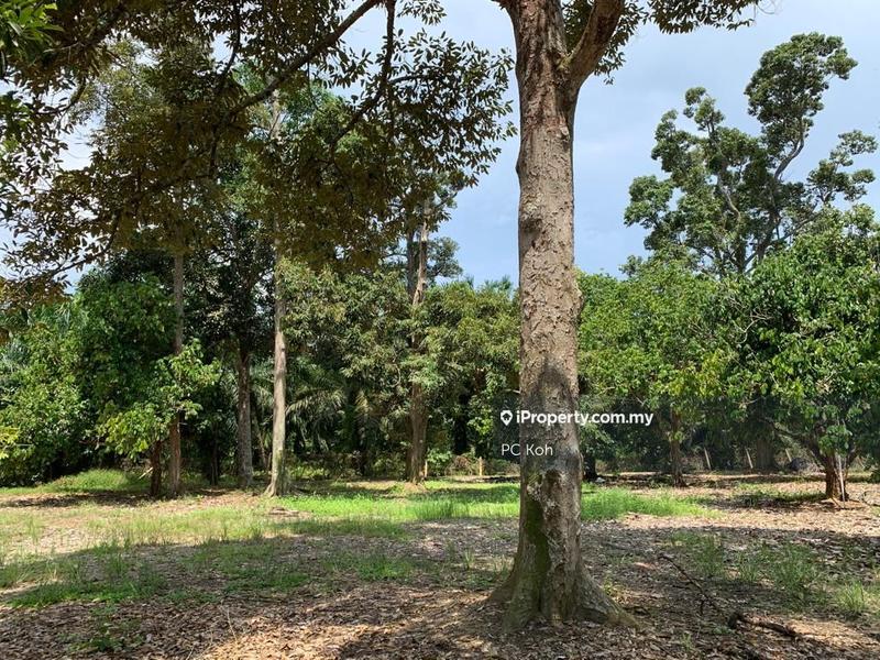 Tanah Pertanian untuk Dijual di Kesang Laut, Muar oleh PC Koh - iProperty.com.my