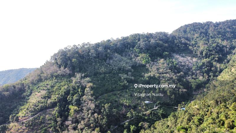 Tanah Pertanian untuk Dijual di Balik Pulau, Penang oleh Visaghan Naidu - iProperty.com.my