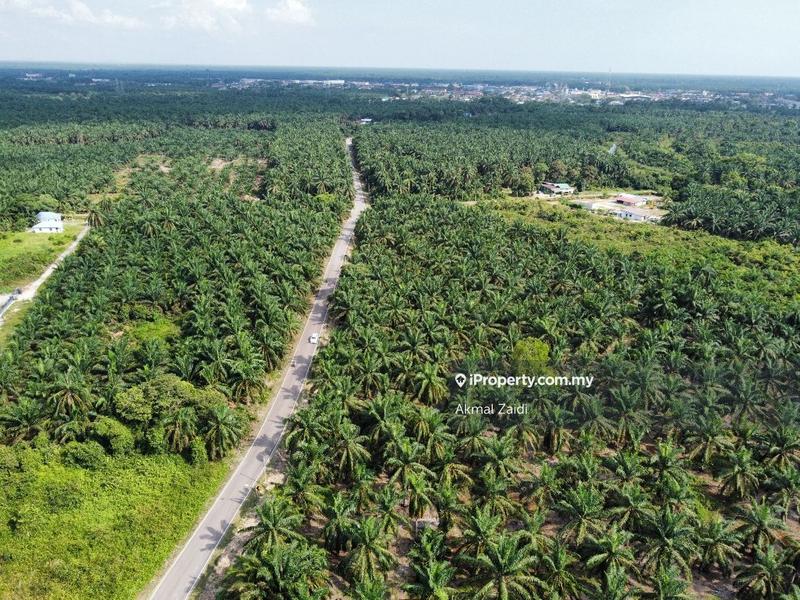 Agricultural Land for Sale in 500 Acre Agricultural Land Zoning Industry, Melaka City by Akmal Zaidi - iProperty.com.my