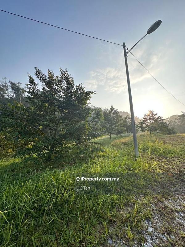 For Rent - Agriculture Land 6 Acres @ Serendah Rawang