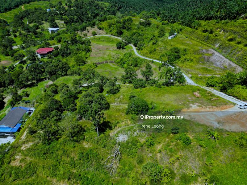 Agricultural Land for Sale in Karak, Sabai by Irene Leong - iProperty.com.my