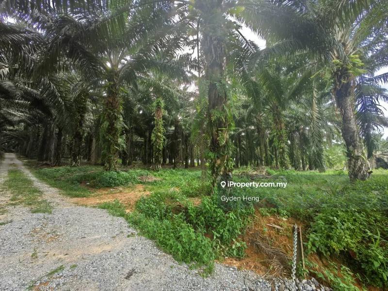 Agricultural Land for Sale in Kota Tinggi, Johor by Gyden Heng - iProperty.com.my