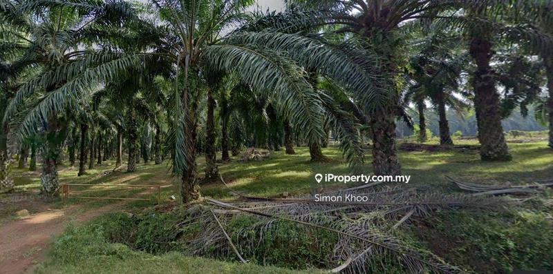 For Sale - Sungkap Para (Teloi Kiri) Sungai Petani