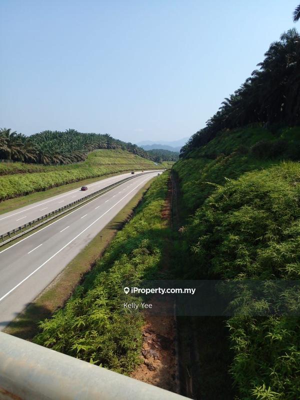 Agricultural Land for Sale in Palm Oil Plantation @ Ulu Lepar, Kuantan for Sale, Kuantan by Kelly Yee - iProperty.com.my