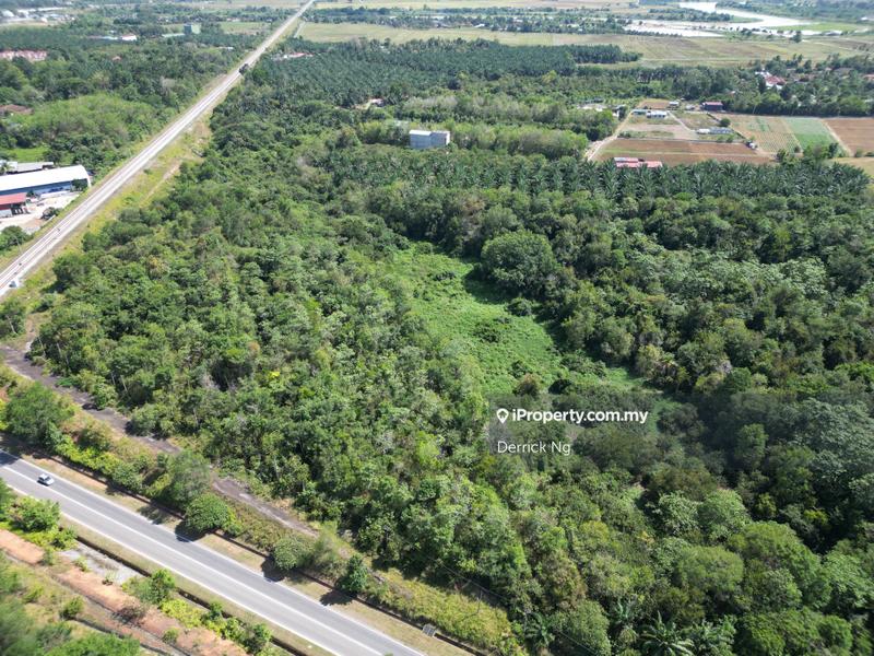 For Sale - Pinang Tunggal Agricultural Land