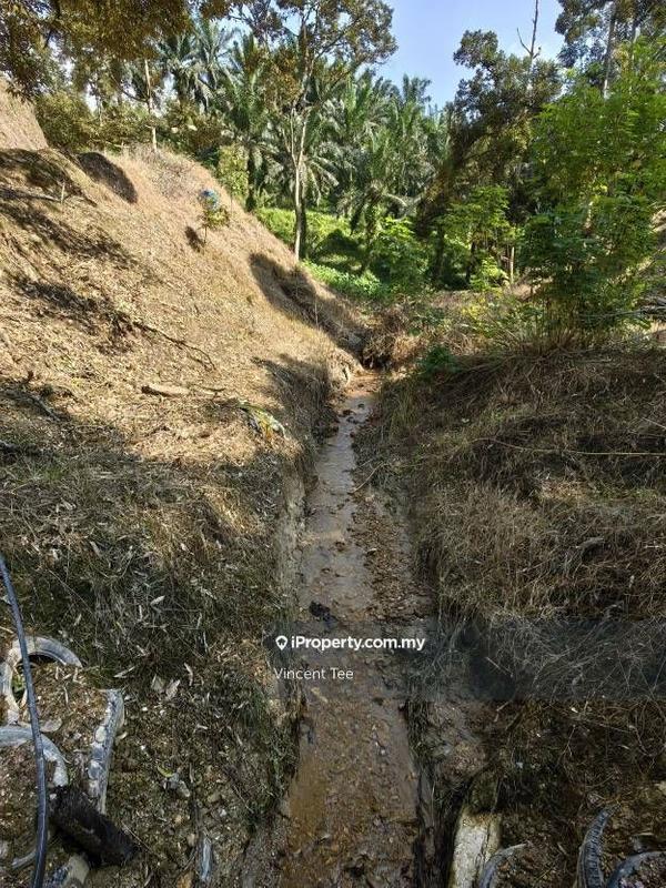 Tanah Pertanian untuk Dijual di Cheroh, Raub oleh Vincent Tee - iProperty.com.my