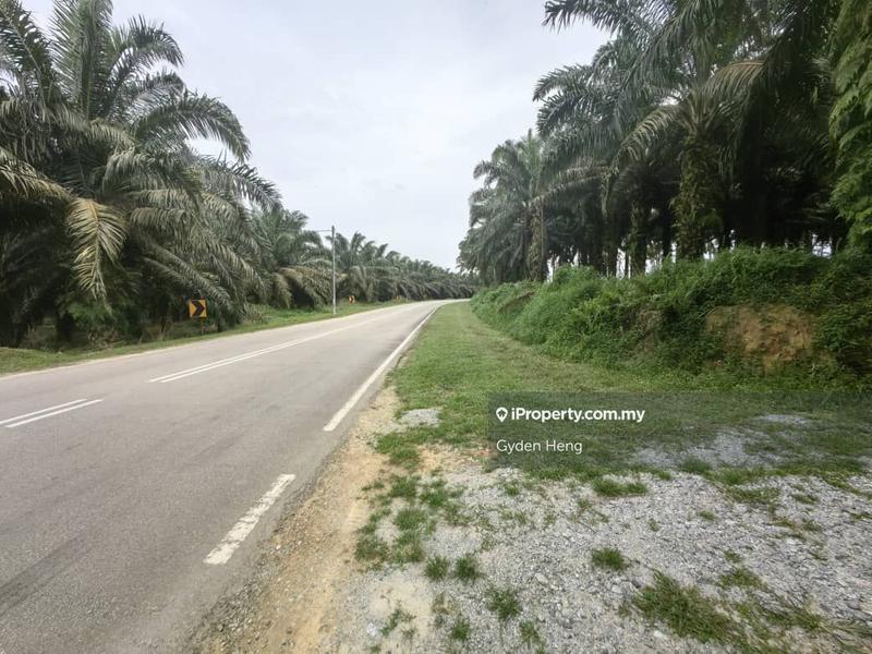 Agricultural Land for Sale in Kota Tinggi, Johor by Gyden Heng - iProperty.com.my