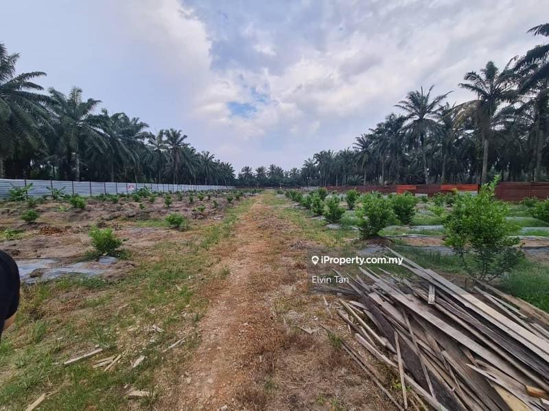 For Sale - Kuala Selangor Ijok Industrial Land