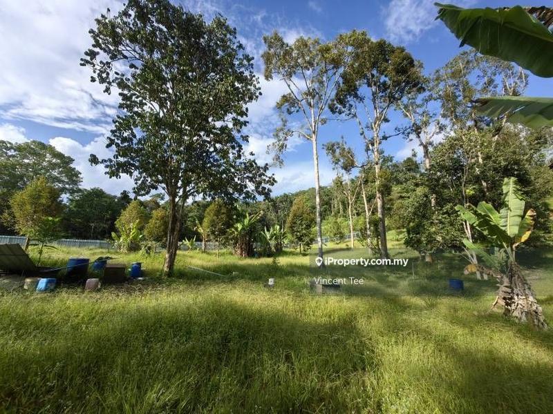 For Sale - 2 Acres Freehold Durian Farm Next to River Padang Tengku Kuala Lipis Raub Bentong