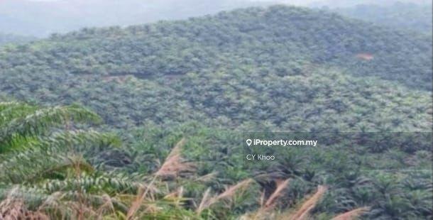Tanah Pertanian untuk Dijual di Taman Gua Musang, Gua Musang oleh CY Khoo - iProperty.com.my