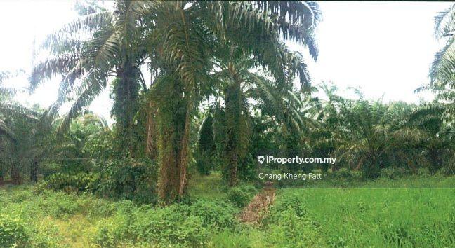 Tanah Pertanian untuk Dijual di Kampung Teluk Mengkuang, Telok Panglima Garang oleh Chang Kheng Fatt - iProperty.com.my