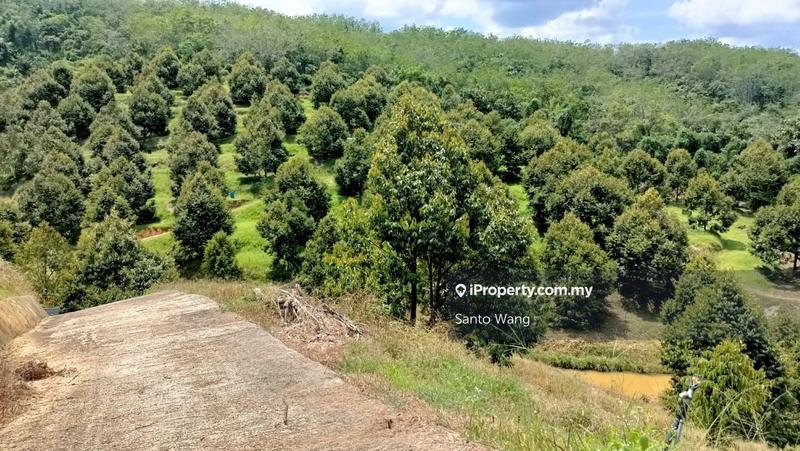 Tanah Pertanian untuk Dijual di Bandar Tras, Raub oleh Santo Wang - iProperty.com.my