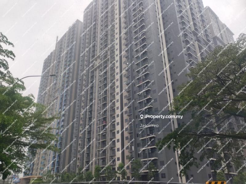 For Sale - One Equine