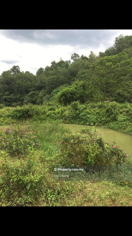 Agricultural Land for Sale in Ulu Kinta, Ipoh by Lily Chong - iProperty.com.my