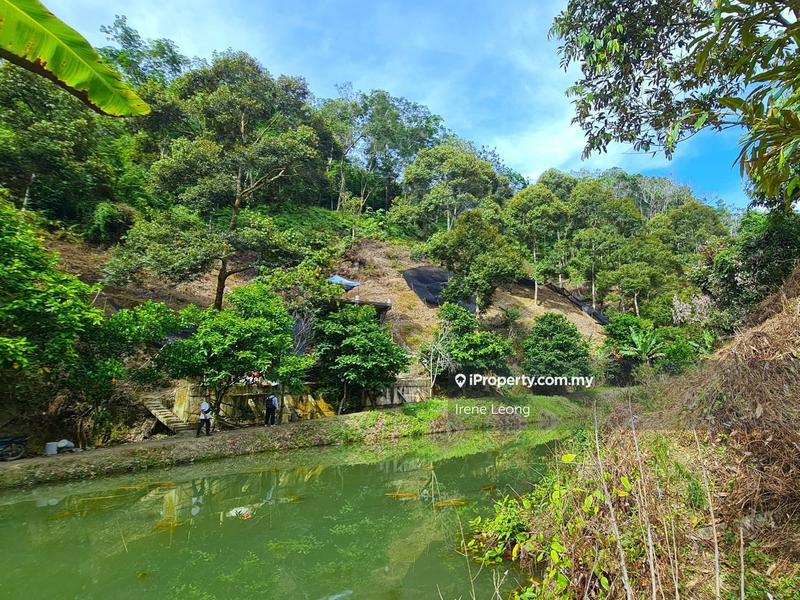 Agricultural Land for Sale in Bentong, Pahang by Irene Leong - iProperty.com.my