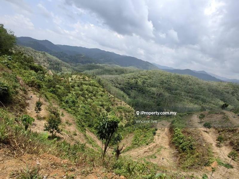 Agricultural Land for Sale in Pekan Baru Titi, Titi by Vincent Tee - iProperty.com.my