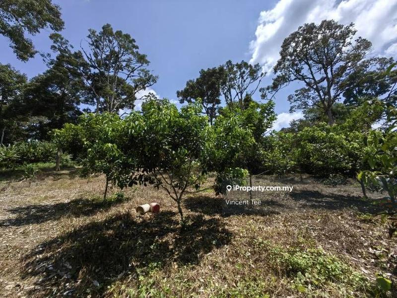 Agricultural Land for Sale in Bandar Baru Kuala Lipis, Kuala Lipis by Vincent Tee - iProperty.com.my