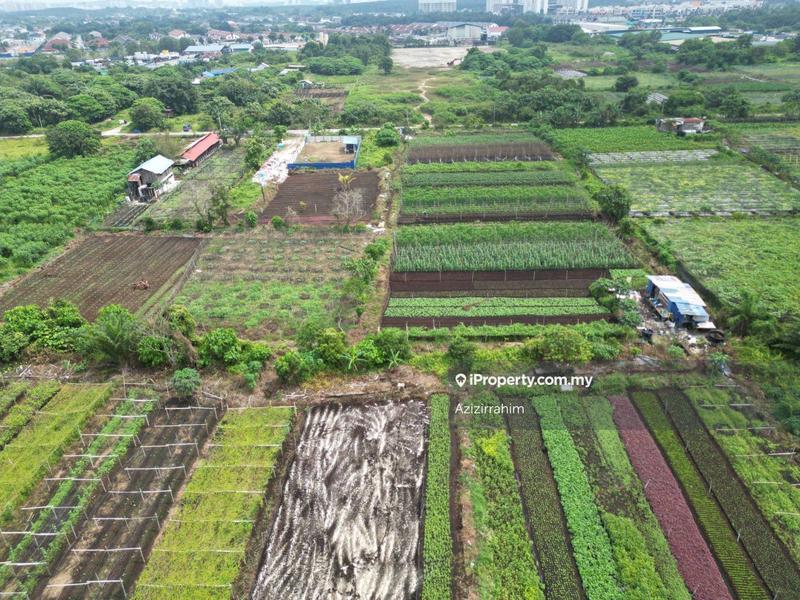 Agricultural Land for Sale in Kampung Sijangkang, Telok Panglima Garang by Azizirrahim - iProperty.com.my