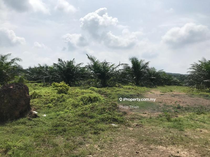 For Sale - Batang Berjuntai