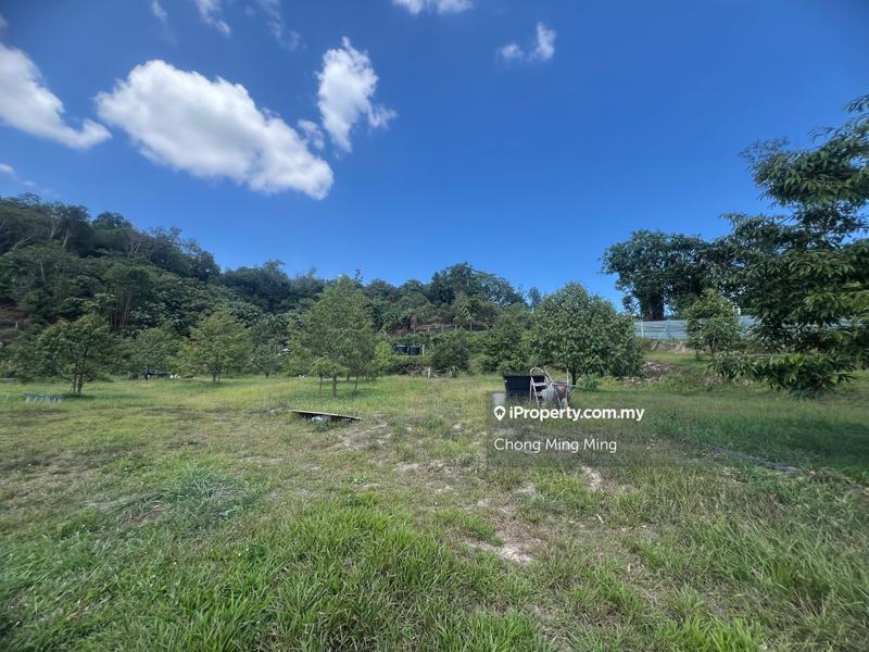 Agricultural Land for Sale in Kampung Pantai, Pantai by Chong Ming Ming - iProperty.com.my