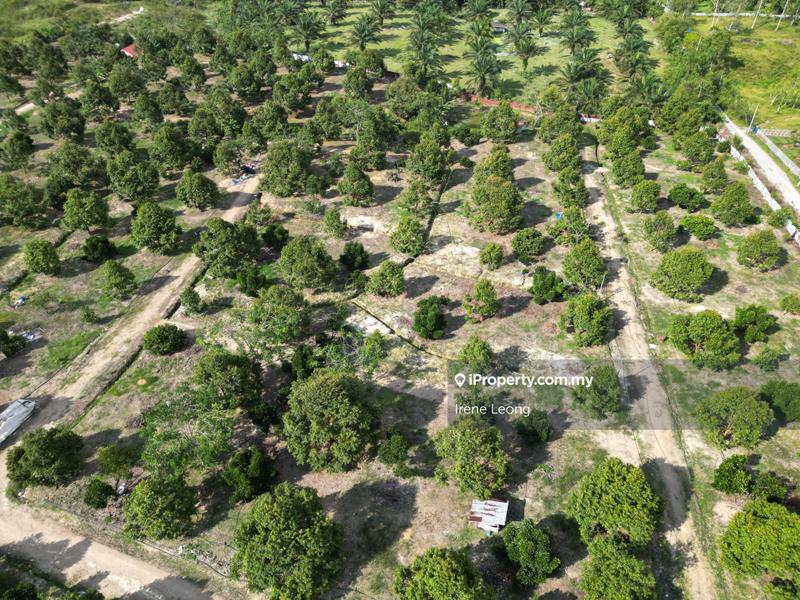 Agricultural Land for Sale in Karak Cinta Manis, Karak by Irene Leong - iProperty.com.my