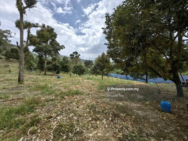 Tanah Pertanian untuk Dijual di Cheroh, Raub oleh Vincent Tee - iProperty.com.my