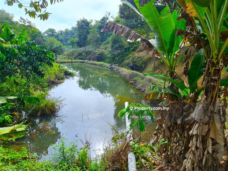 Agricultural Land for Sale in Bentong, Pahang by Irene Leong - iProperty.com.my