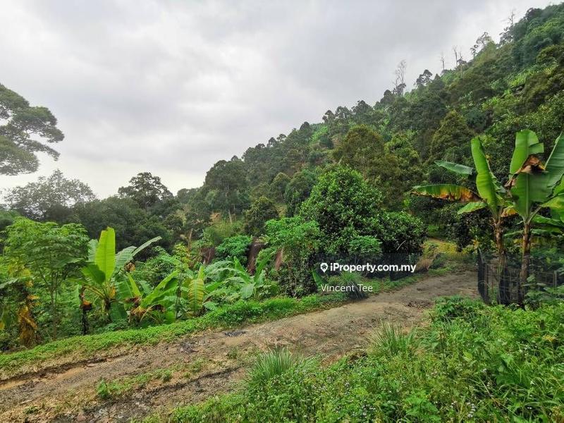 Tanah Pertanian untuk Dijual di Bukit Relau, Balik Pulau oleh Vincent Tee - iProperty.com.my