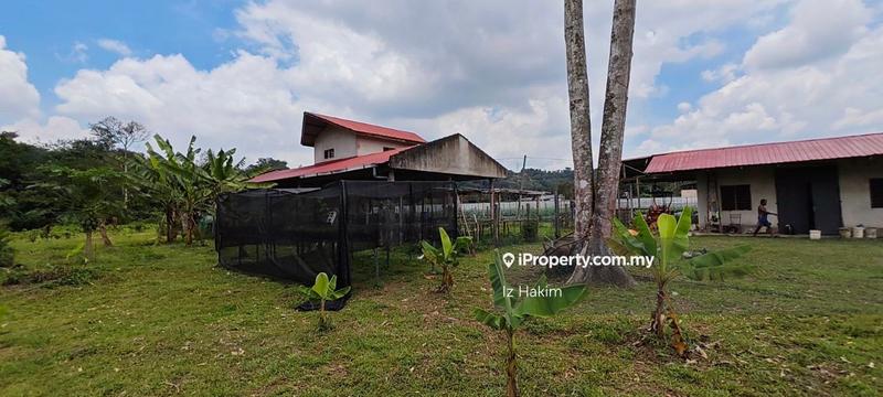 Agricultural Land for Sale in Batang Kali, Selangor by Iz Hakim - iProperty.com.my