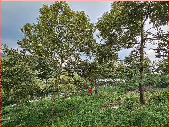 Agricultural Land for Sale in Kampung Sungai Makau, Hulu Langat by Nicholas Lee - iProperty.com.my