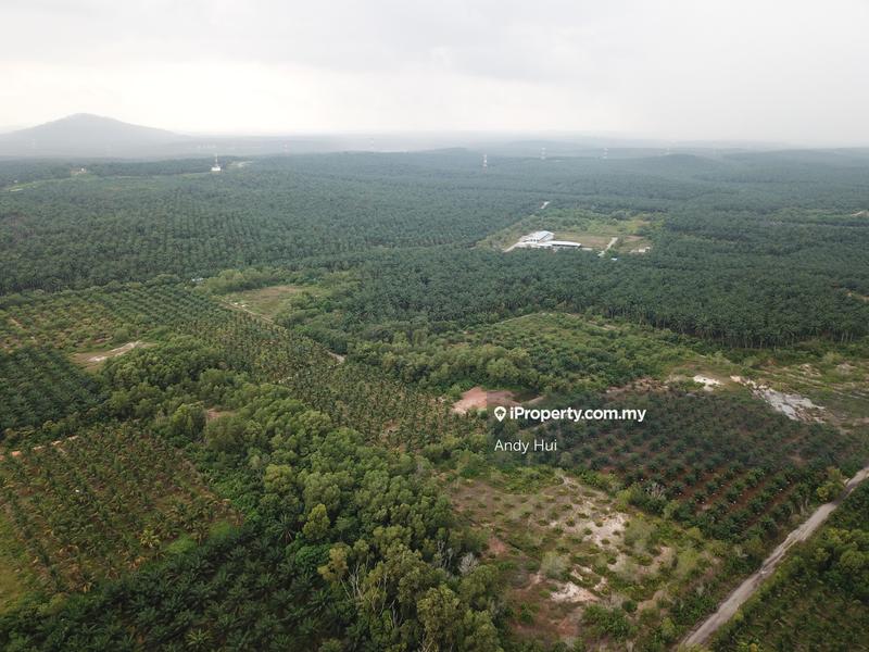 For Sale - KLIA Commercial Land