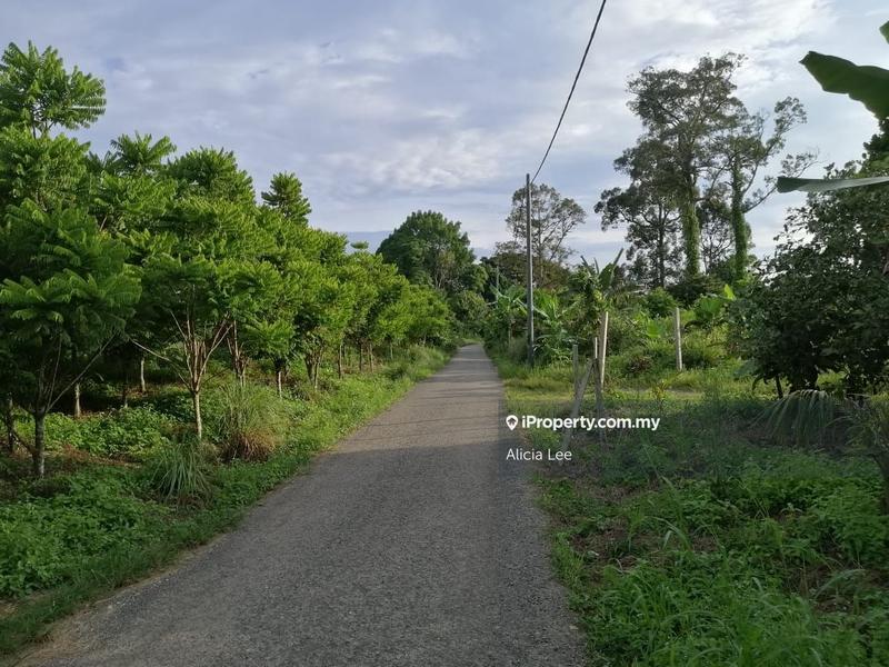 Agricultural Land for Sale in Bandar Lipis, Kuala Lipis by Alicia Lee - iProperty.com.my