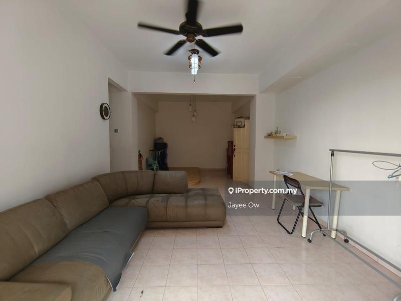 For Sale - Evergreen Park Scot Pine