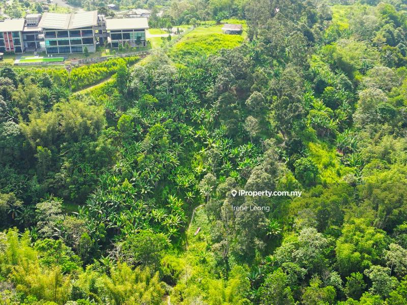 Agricultural Land for Sale in Bukit Tinggi, Bentong by Irene Leong - iProperty.com.my