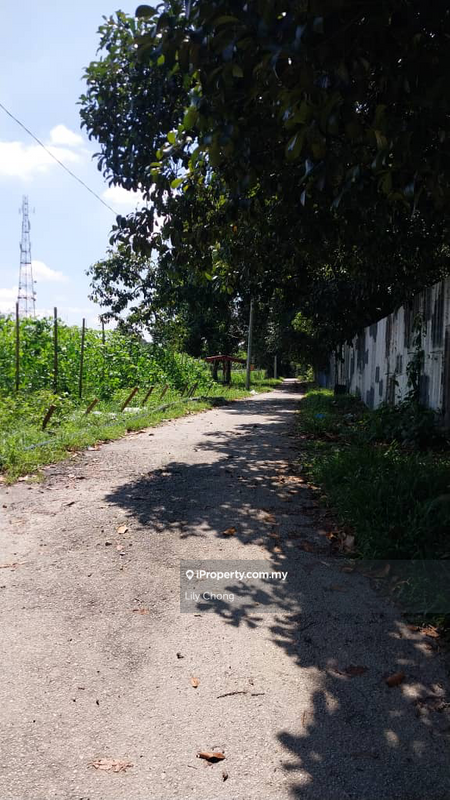 Agricultural Land for Sale in jap7s, Bidor by Lily Chong - iProperty.com.my