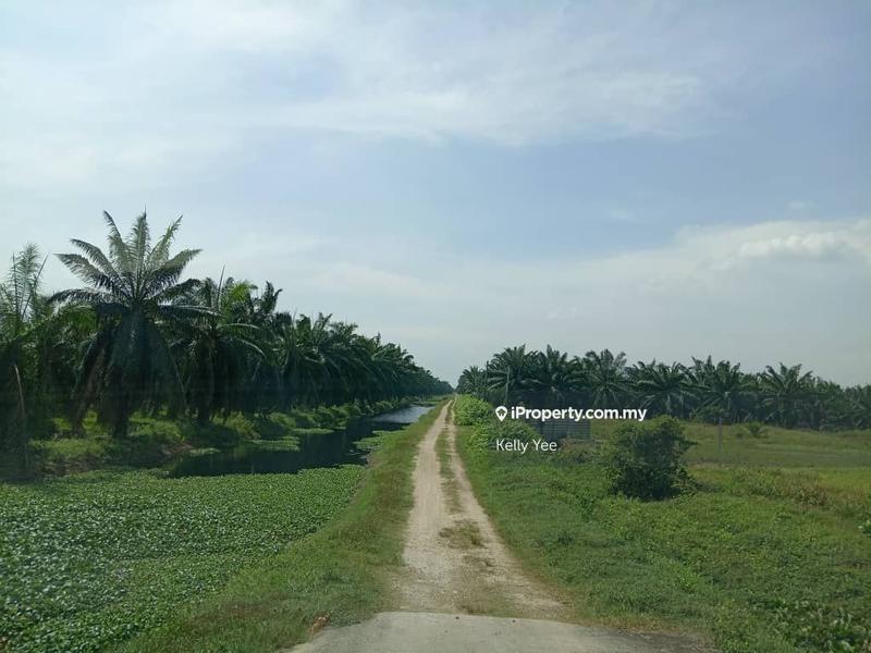 Agricultural Land for Sale in Changkat, Nibong Tebal by Kelly Yee - iProperty.com.my