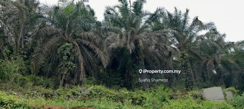 For Sale - Kuala Pilah