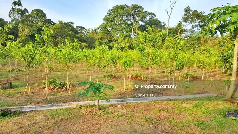 Tanah Pertanian untuk Dijual di Broga, Lenggeng oleh Steven Tay - iProperty.com.my
