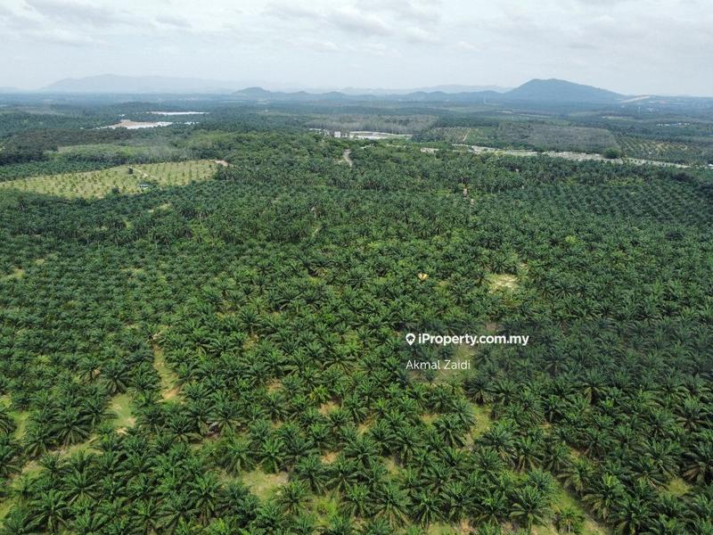 Agricultural Land for Sale in 50 to 100 Acres Near PMU TNB Melaka, Ayer Keroh by Akmal Zaidi - iProperty.com.my