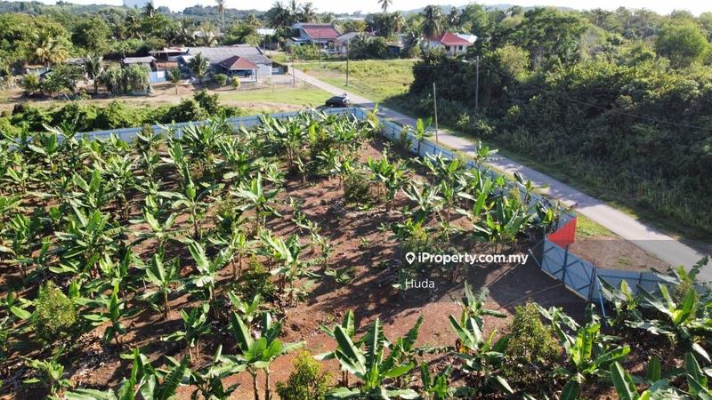 Agricultural Land for Sale in Port Dickson, Pasir Panjang by Huda - iProperty.com.my