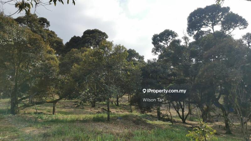 Agricultural Land for Sale in Beranang, Ulu Langat by Wilson Tan - iProperty.com.my