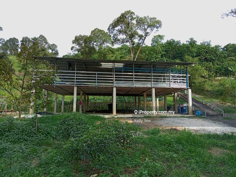 Tanah Pertanian untuk Dijual di Durian Orchard Farm @ Machang Bubok for Sale, Bukit Mertajam oleh Kelly Yee - iProperty.com.my