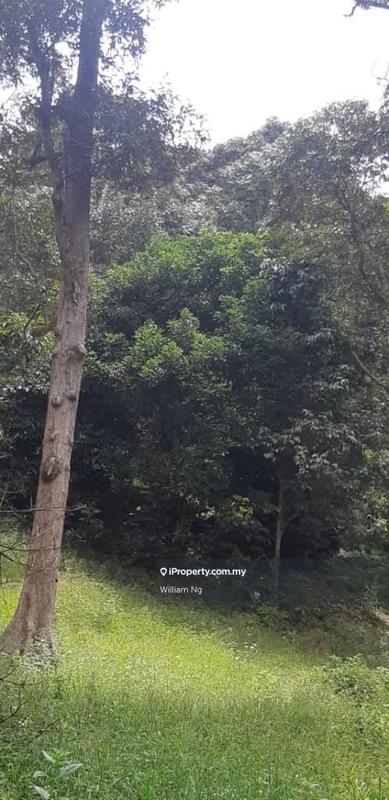 Tanah Pertanian untuk Dijual di Taman Jelebu, Kuala Klawang oleh William Ng - iProperty.com.my
