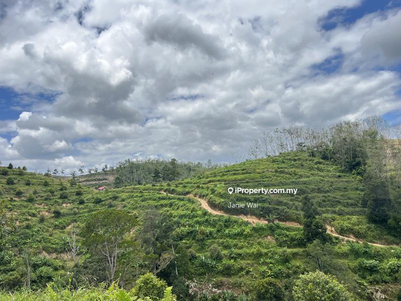 Tanah Pertanian untuk Dijual di Taman Jelebu, Kuala Klawang oleh Janie Wai - iProperty.com.my