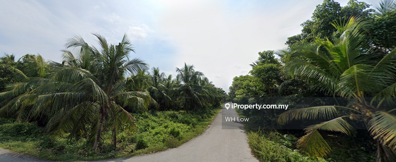 Agricultural Land for Sale in Pulau Indah, Klang by WH Low - iProperty.com.my