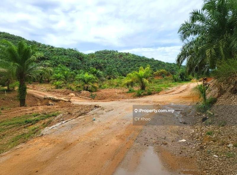 Tanah Pertanian untuk Dijual di Kelantan Gua Musang Limau Kasturi Sungai Galas, Limau Kasturi oleh CY Khoo - iProperty.com.my